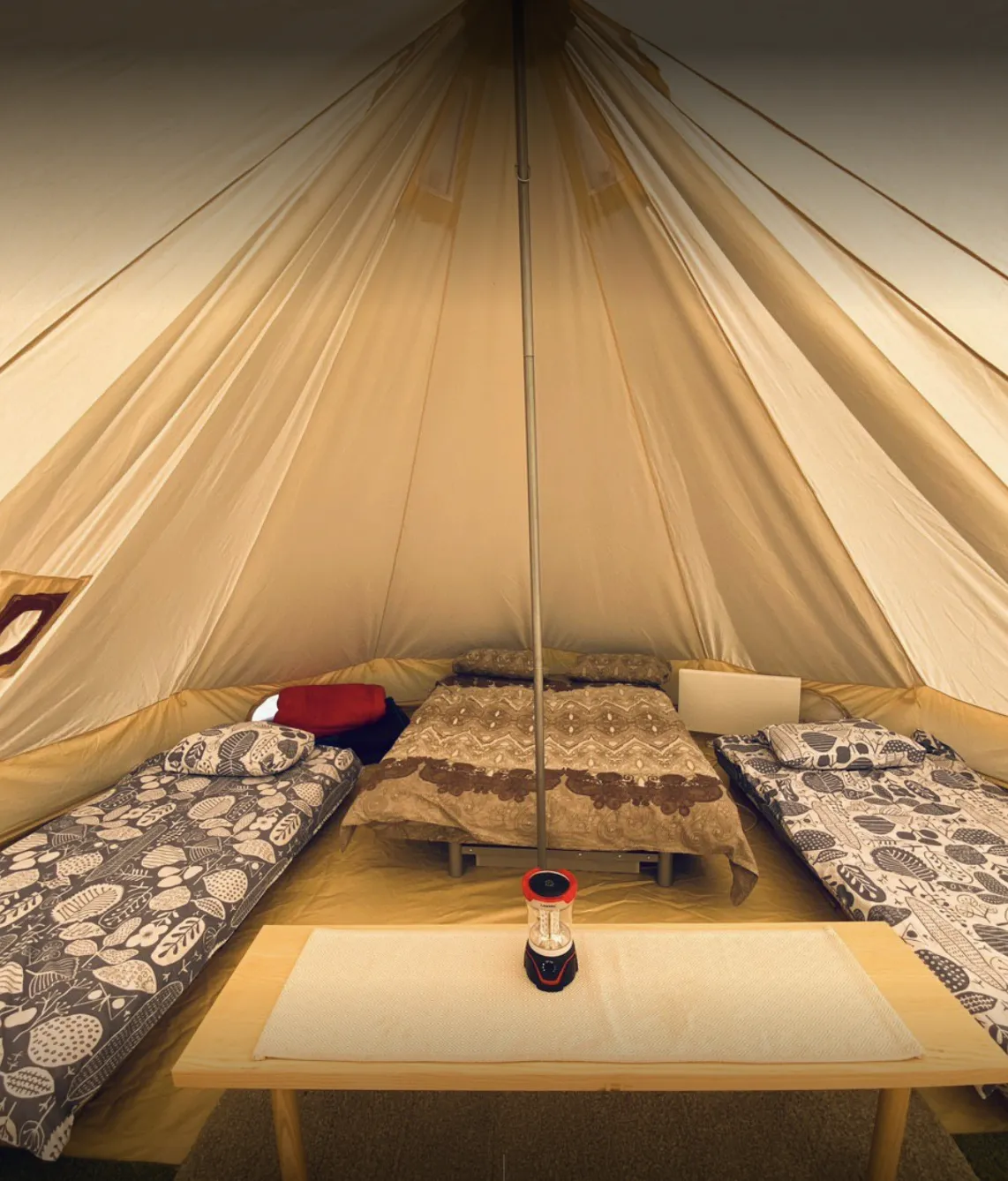 Кедровая Сова фото 3