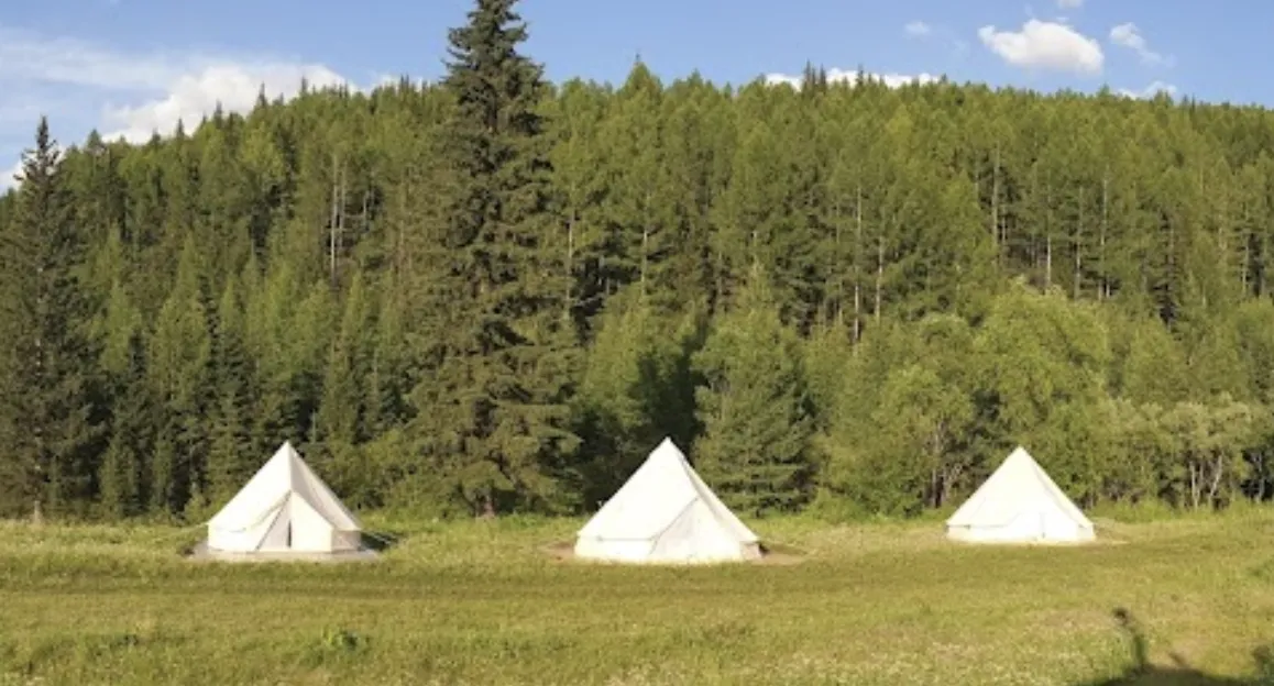 Кедровая Сова фото 4