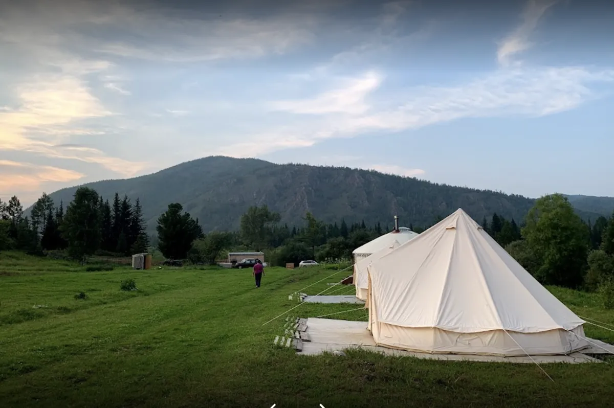 Кедровая Сова фото 5