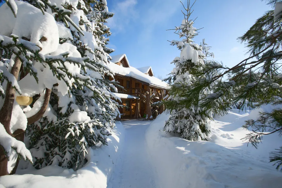 Кемпинг Хомяковское подворье