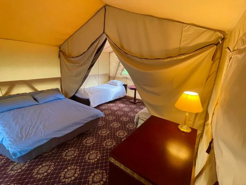 Кемпинг Лесосад Евгения Юма фото 4