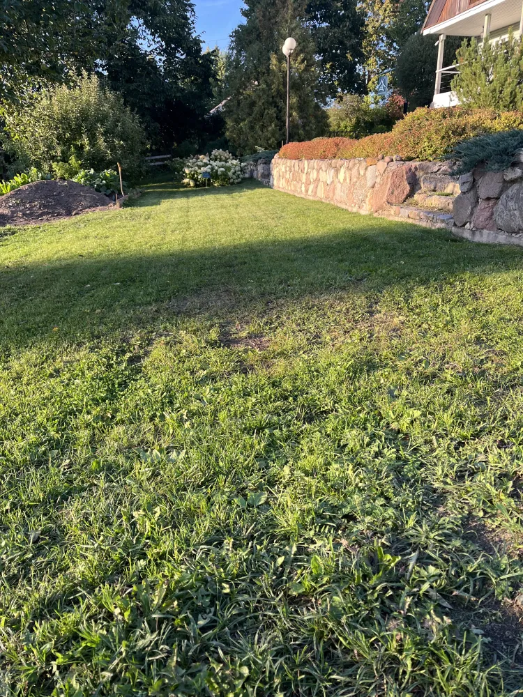 Кемпстоянки фото 4