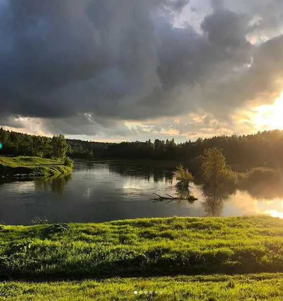 Хаски Деревня Рузская Аляска фото 2