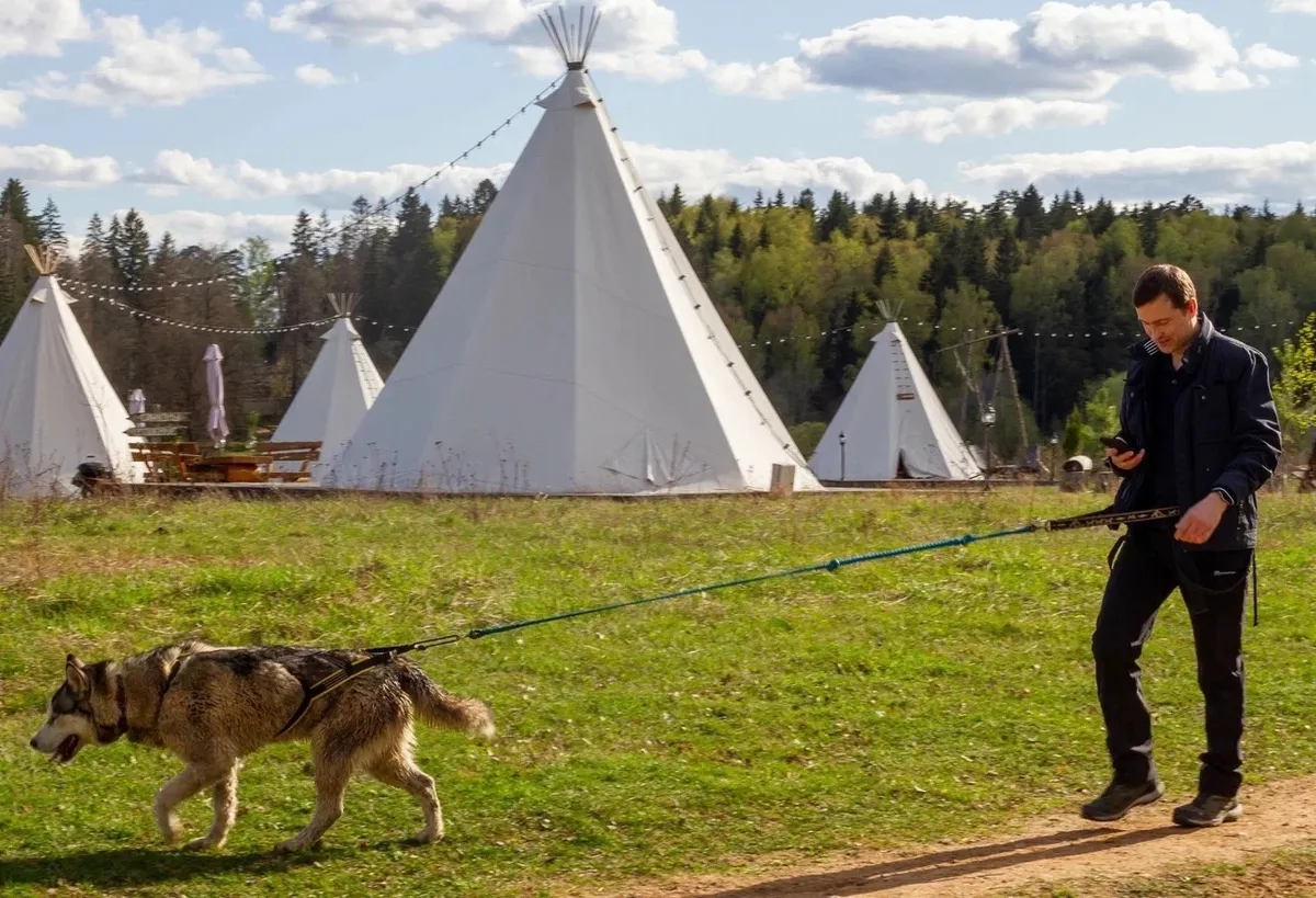 Хаски Деревня Рузская Аляска фото 5