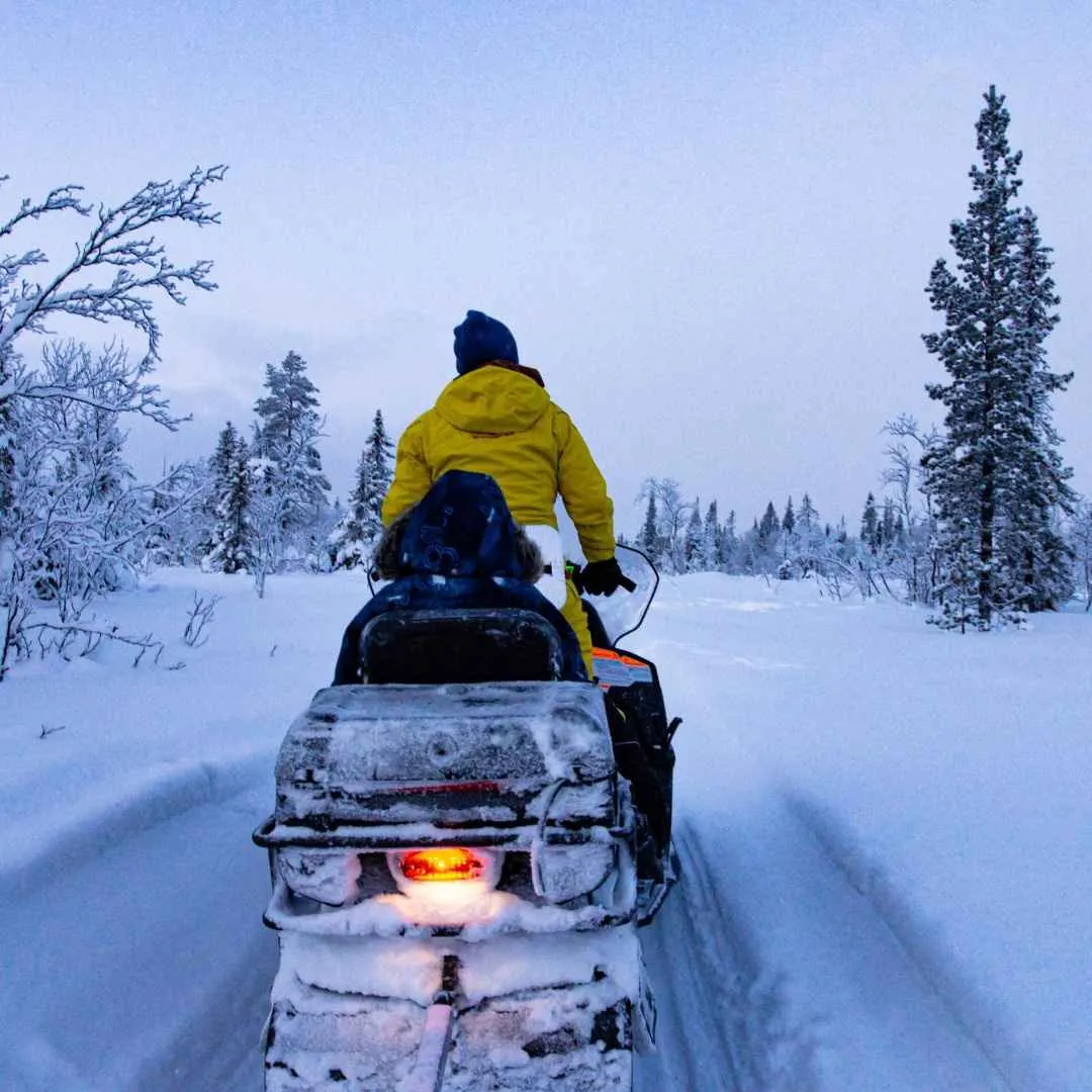 Хаски Кэмп фото 2