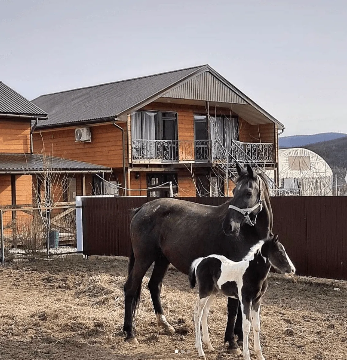 Ход конем  Конно-туристическая база