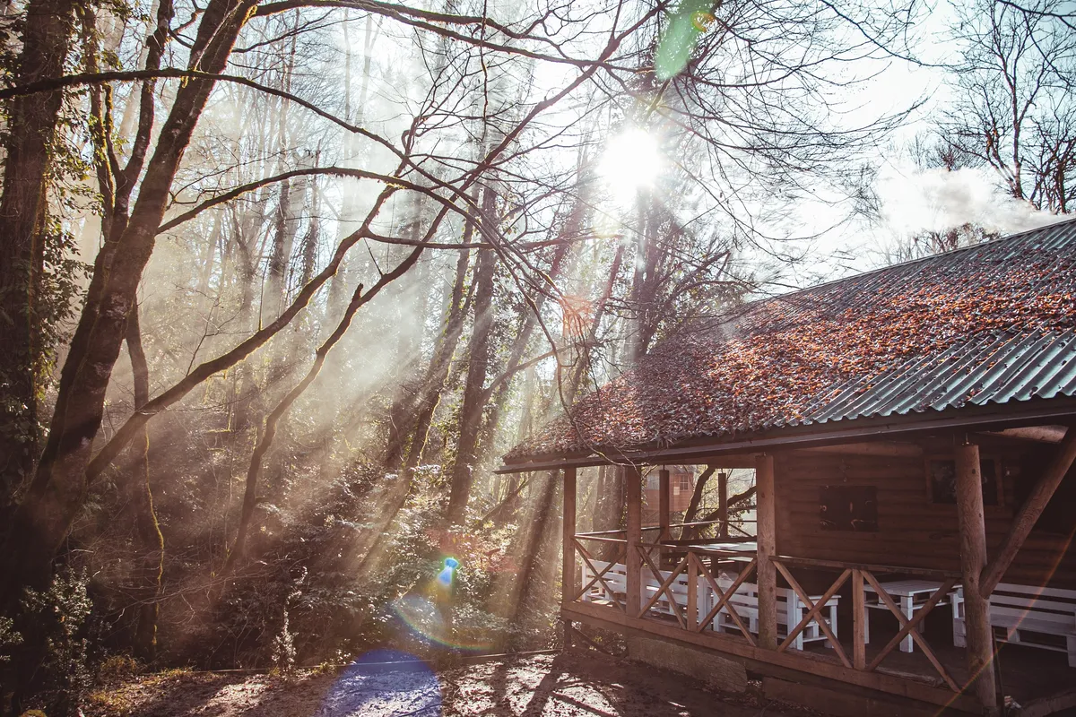 ХостаРика фото 2