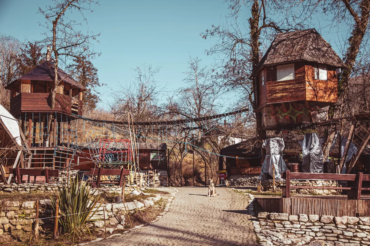 ХостаРика фото 3