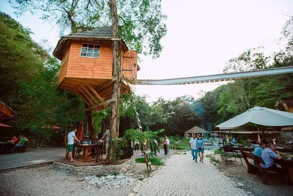 ХостаРика фото 4