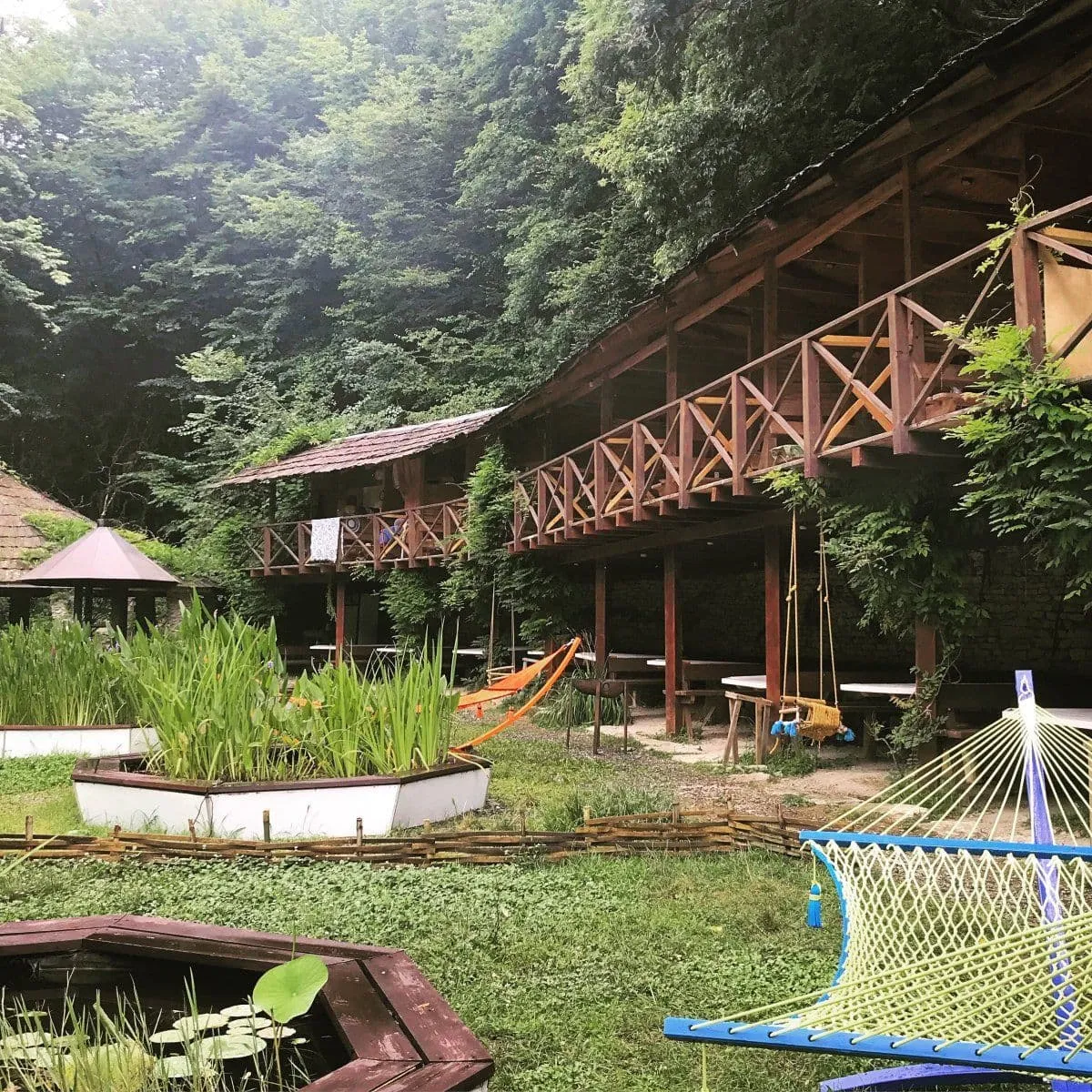 ХостаРика фото 5