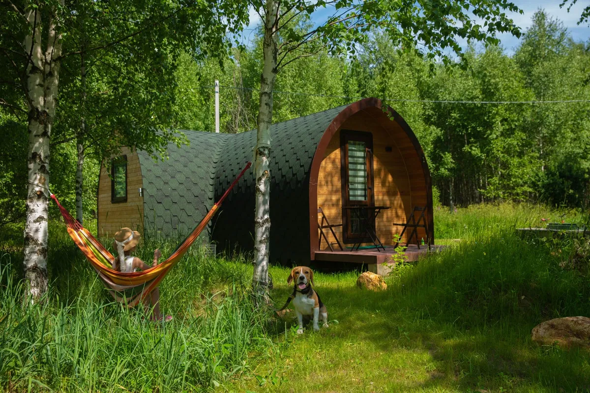 Дом среди берёз