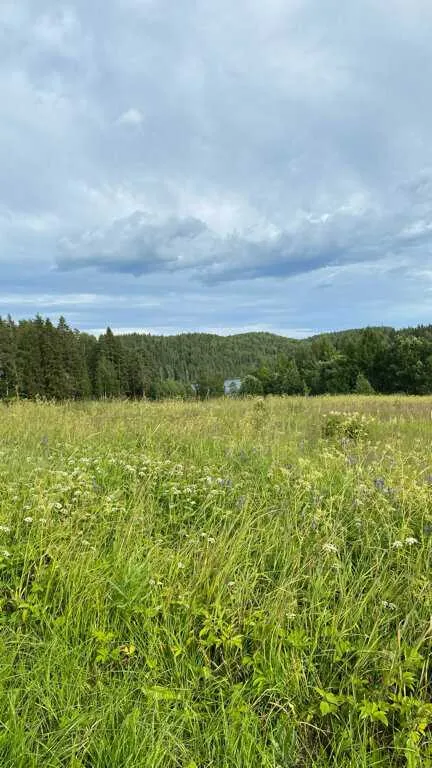 Хутор ЛихKoff фото 2