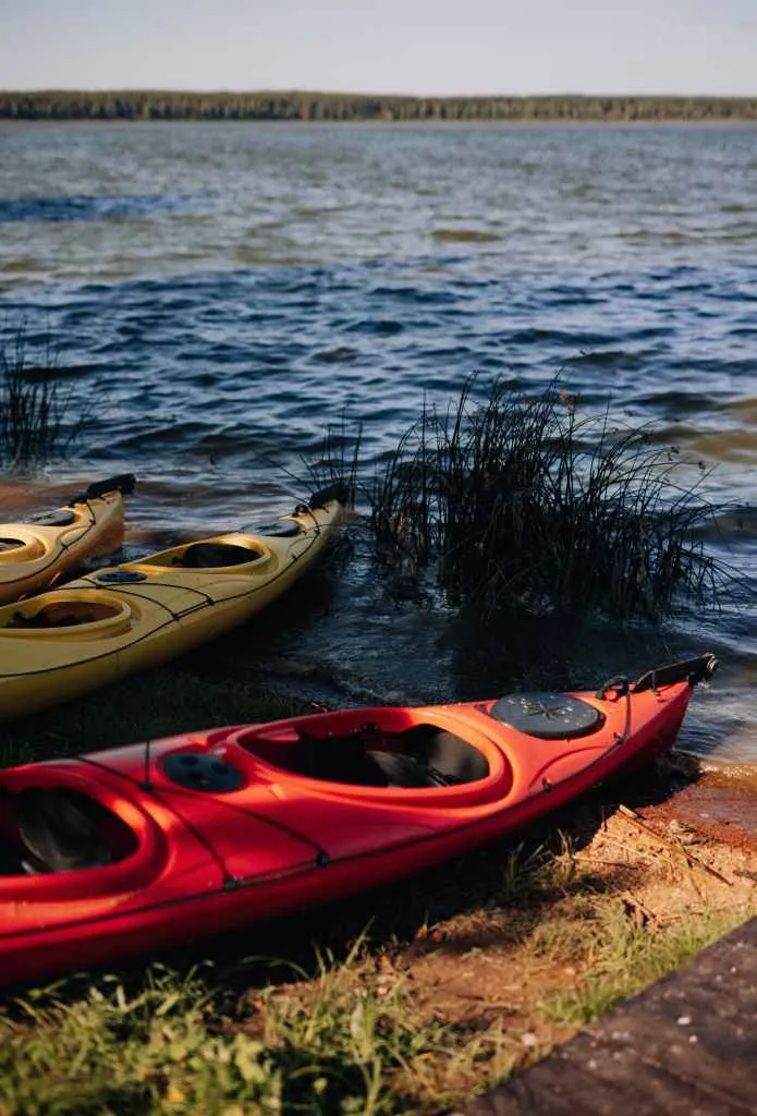 Хвоя Киров фото 2