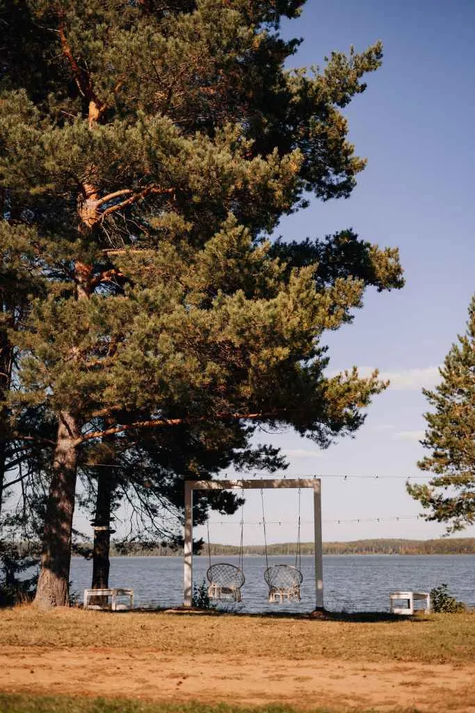 Хвоя Киров фото 3