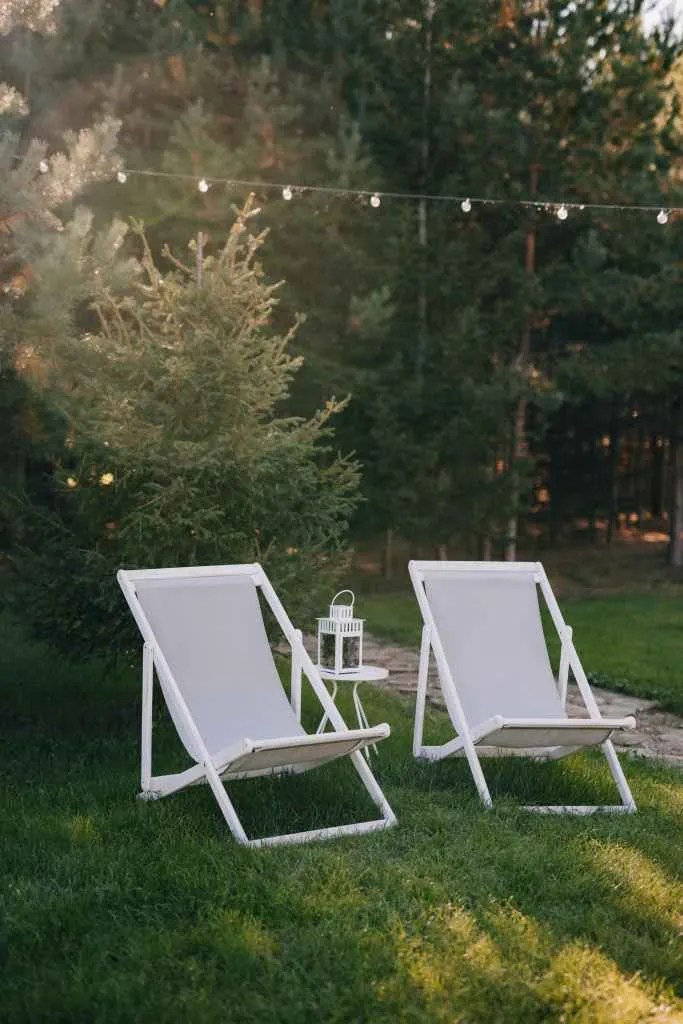 Хвоя Киров фото 4