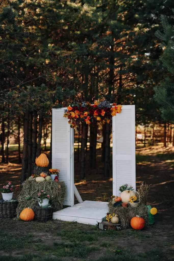 Хвоя Киров фото 5