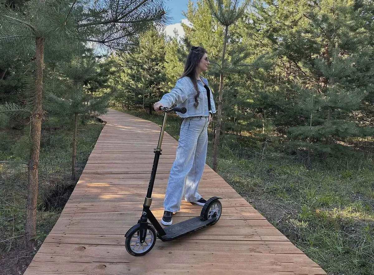 Хвоя Нижний Новгород фото 5