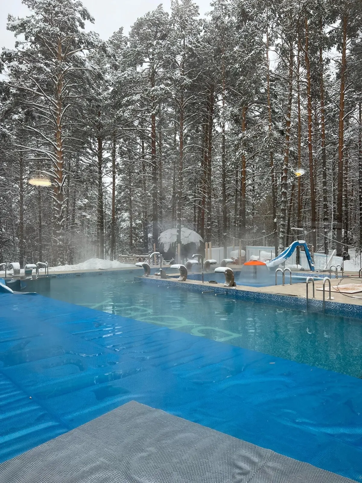 Хвоя Новосибирск фото 3