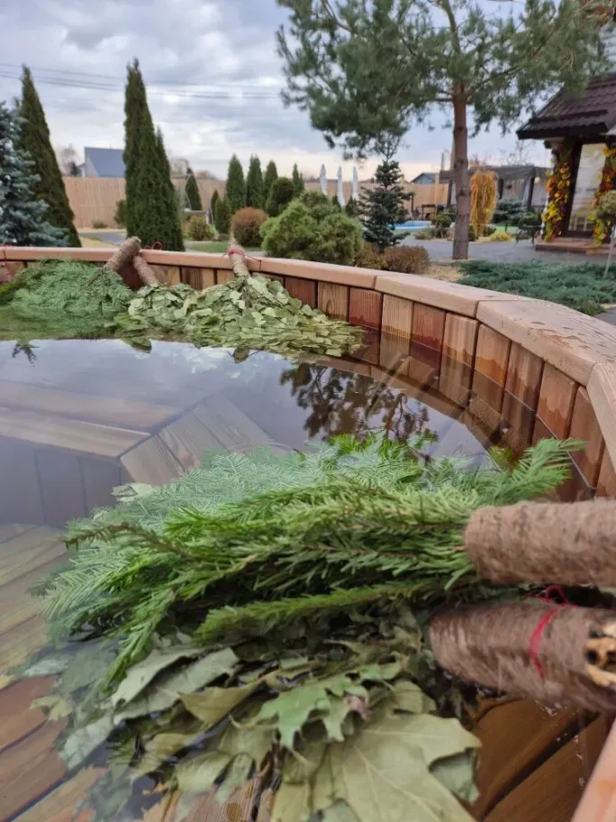 Хвоя Воронежская область фото 2