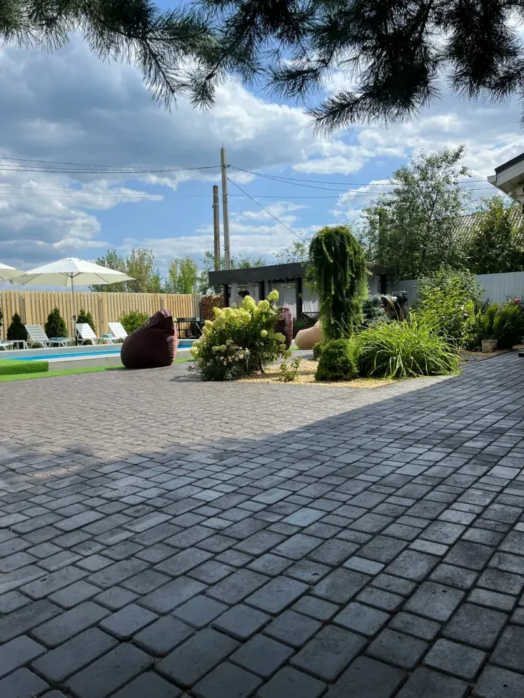 Хвоя Воронежская область фото 5