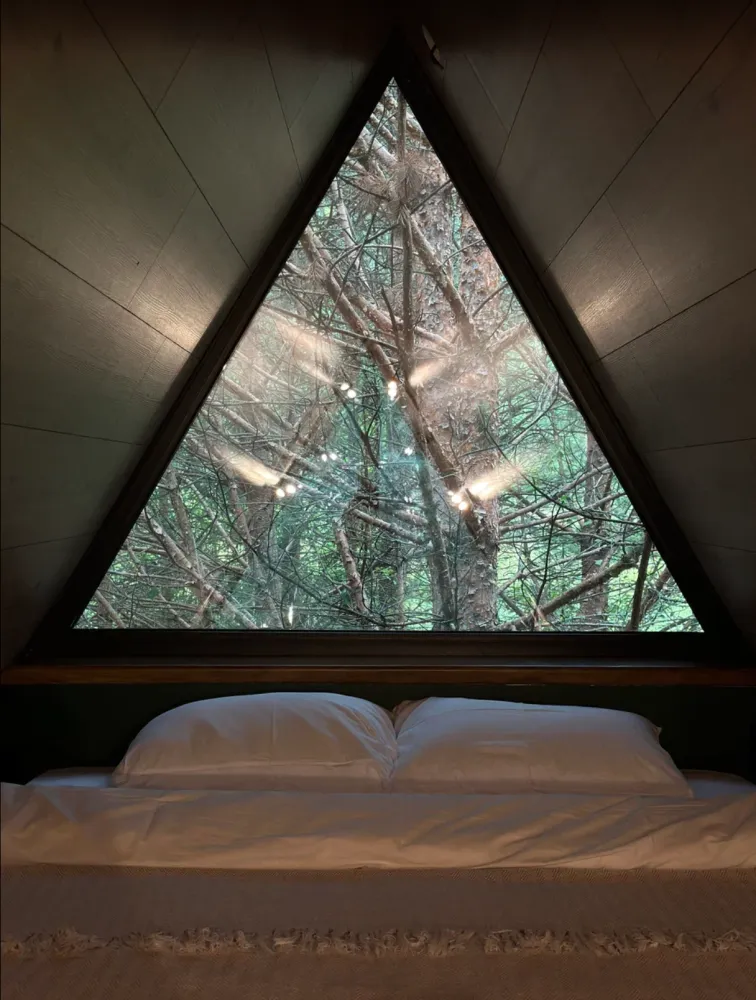 Хвойный фото 3