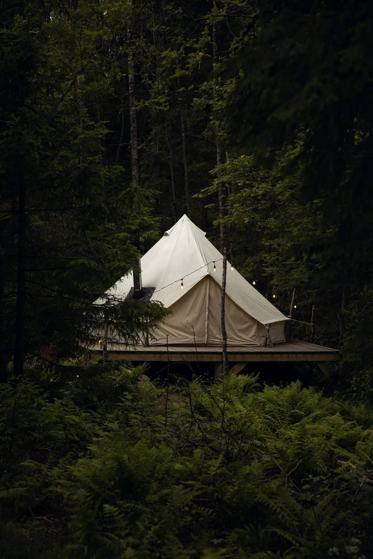Шатер в лесу