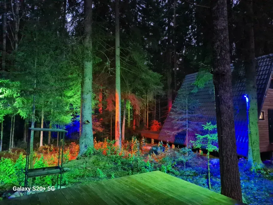 Клевер ЭКОФОРЕСТ