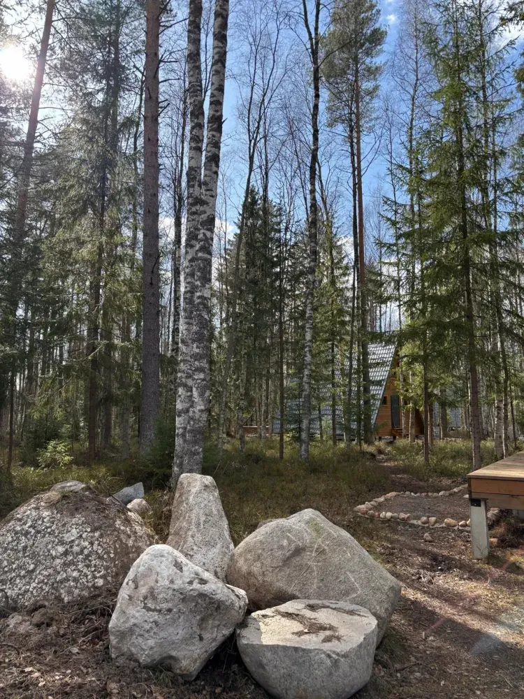 Клевер ЭКОФОРЕСТ фото 2