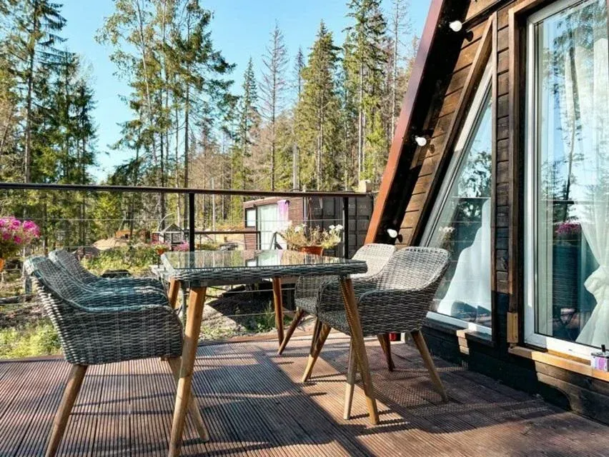 Клевер Клеверная бухта фото 5