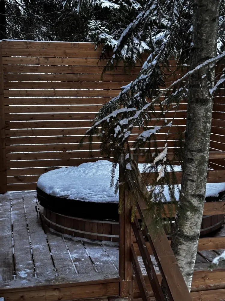 Клевер Стеклянный ручей фото 3