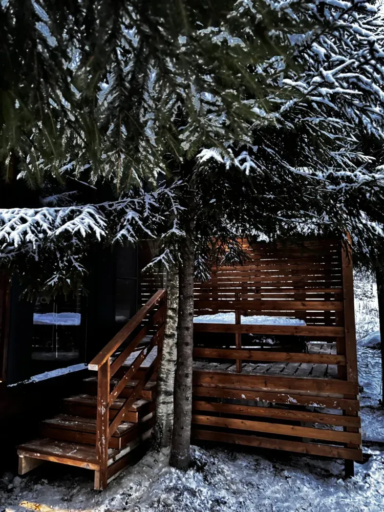 Клевер Стеклянный ручей фото 4