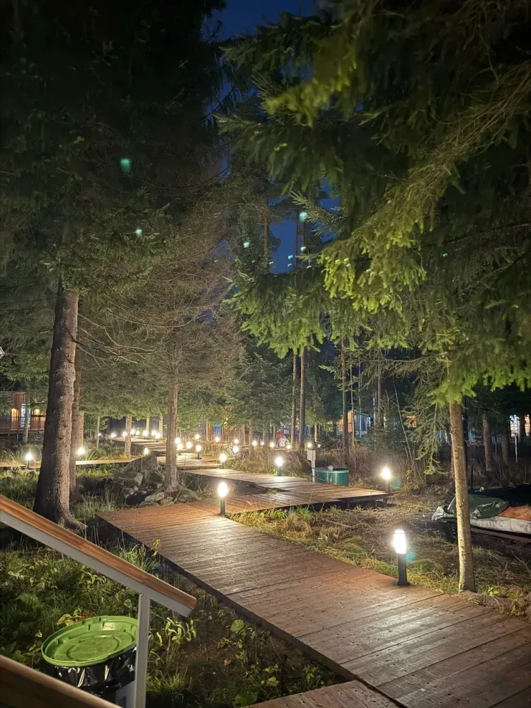 Клевер Стеклянный ручей фото 5