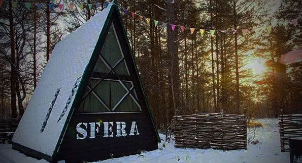 Клевер фото 2