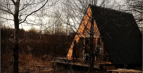 Клевер фото 3