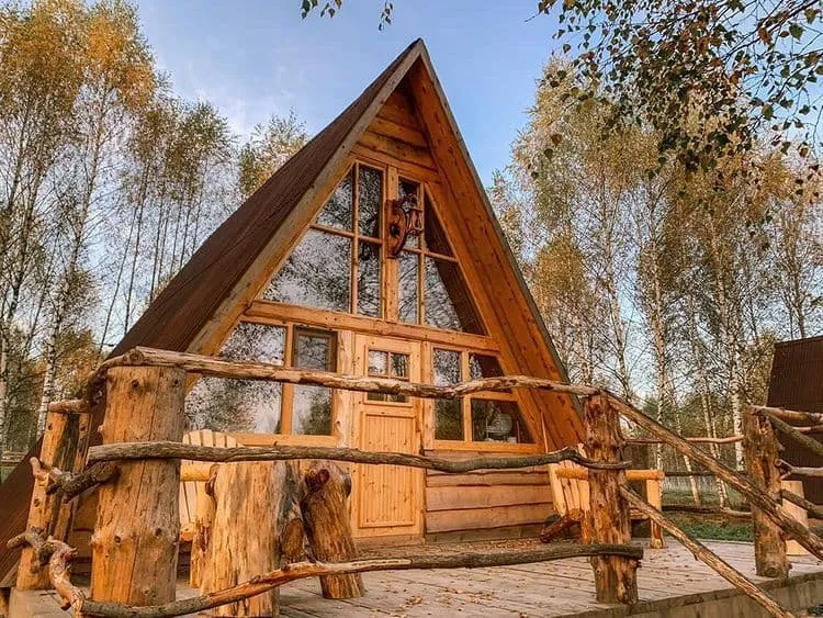 Клевер фото 5