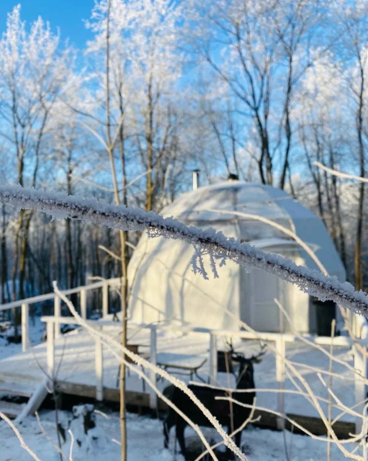 Сфера с террасой и камином