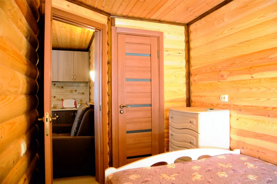 Колибри фото 3