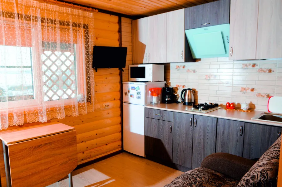 Колибри фото 4