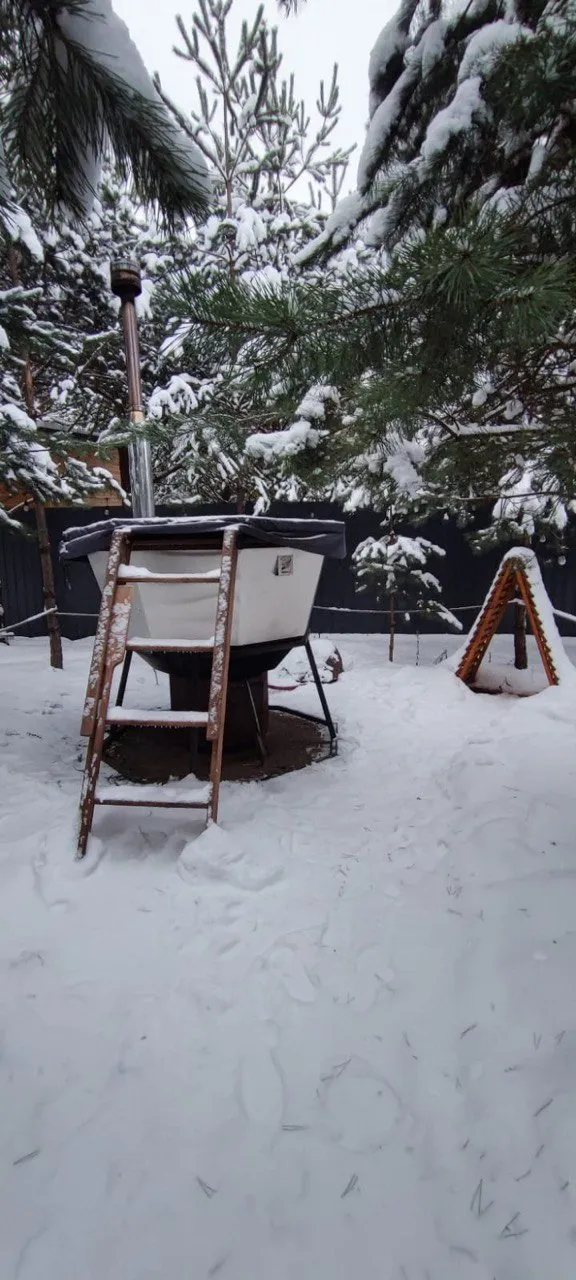 Кусочек Рая в соснах фото 4