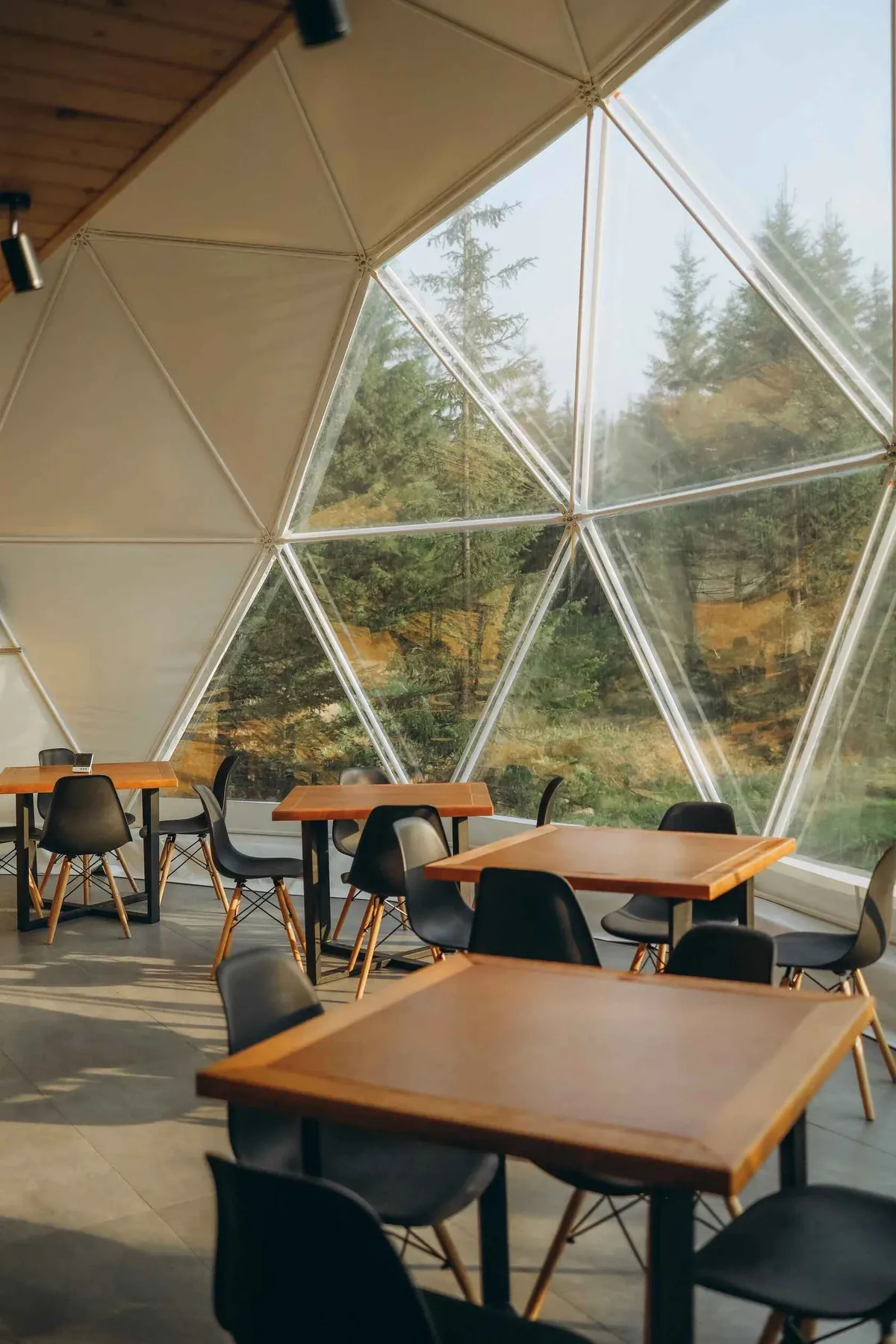 Ладаглэмп фото 2