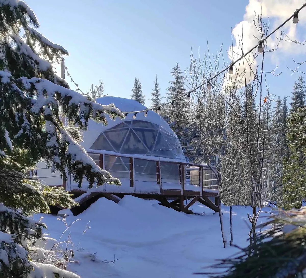 Шатёр На опушке