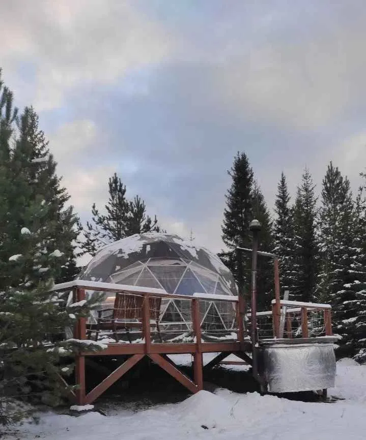 Шатёр Над елкой