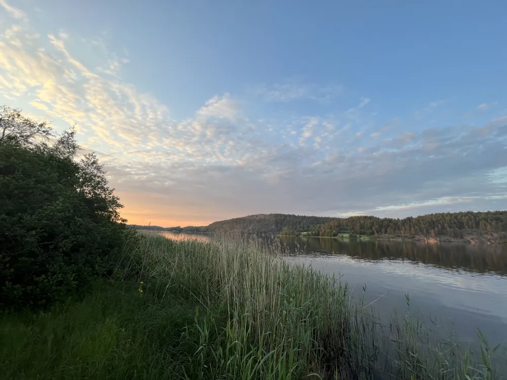 Ладога Рядом фото 4