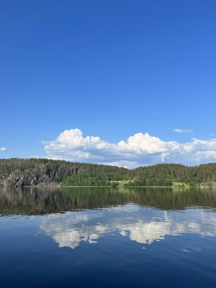 Ладога Рядом фото 5