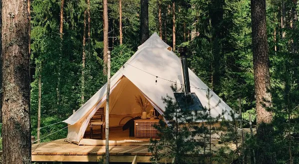 Lago Ladoga ( Лаго Ладога ) фото 3