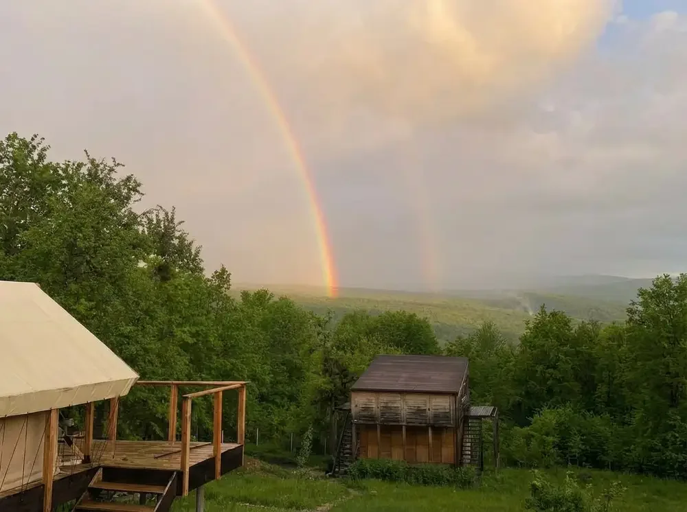 Лагонаки Глэмп фото 4