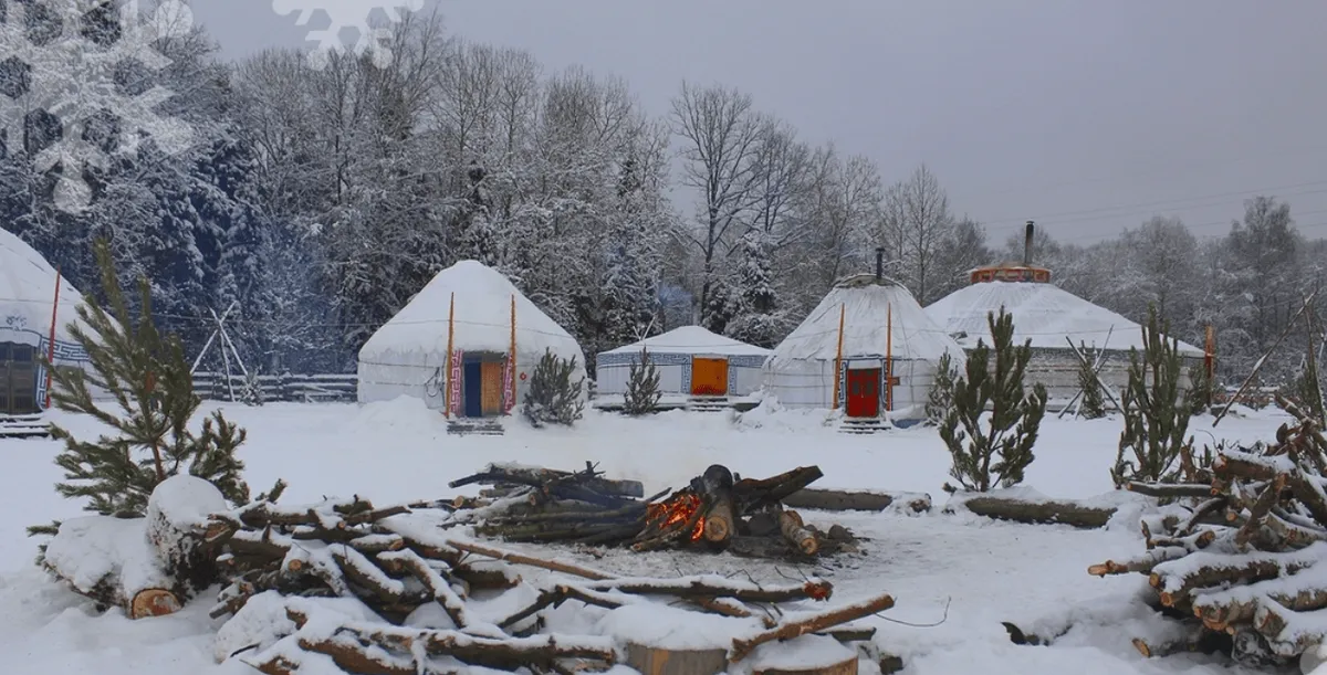 Лама-кемпинг в этнопарке Кочевник фото 2