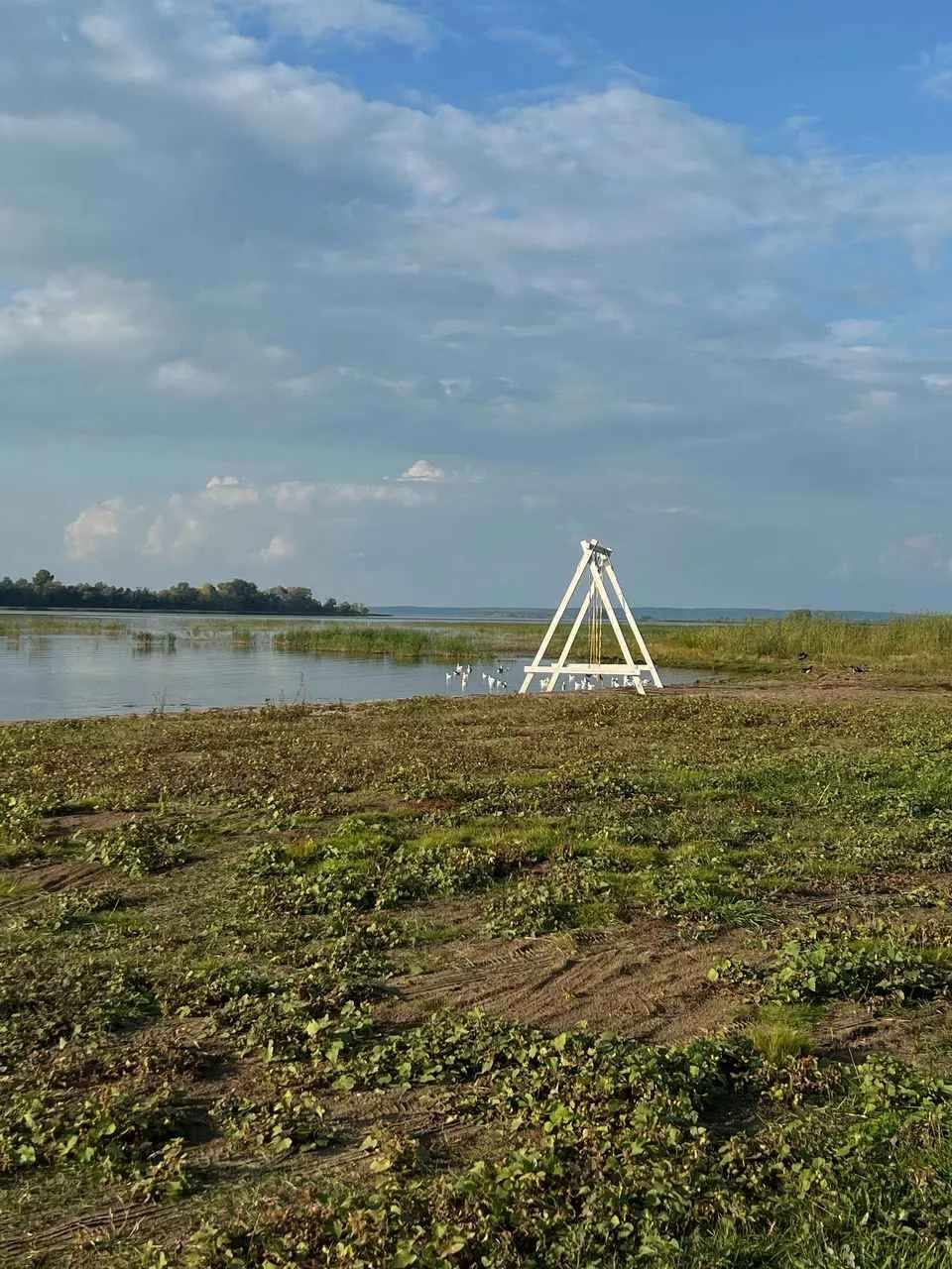 Лебедино Эко фото 2