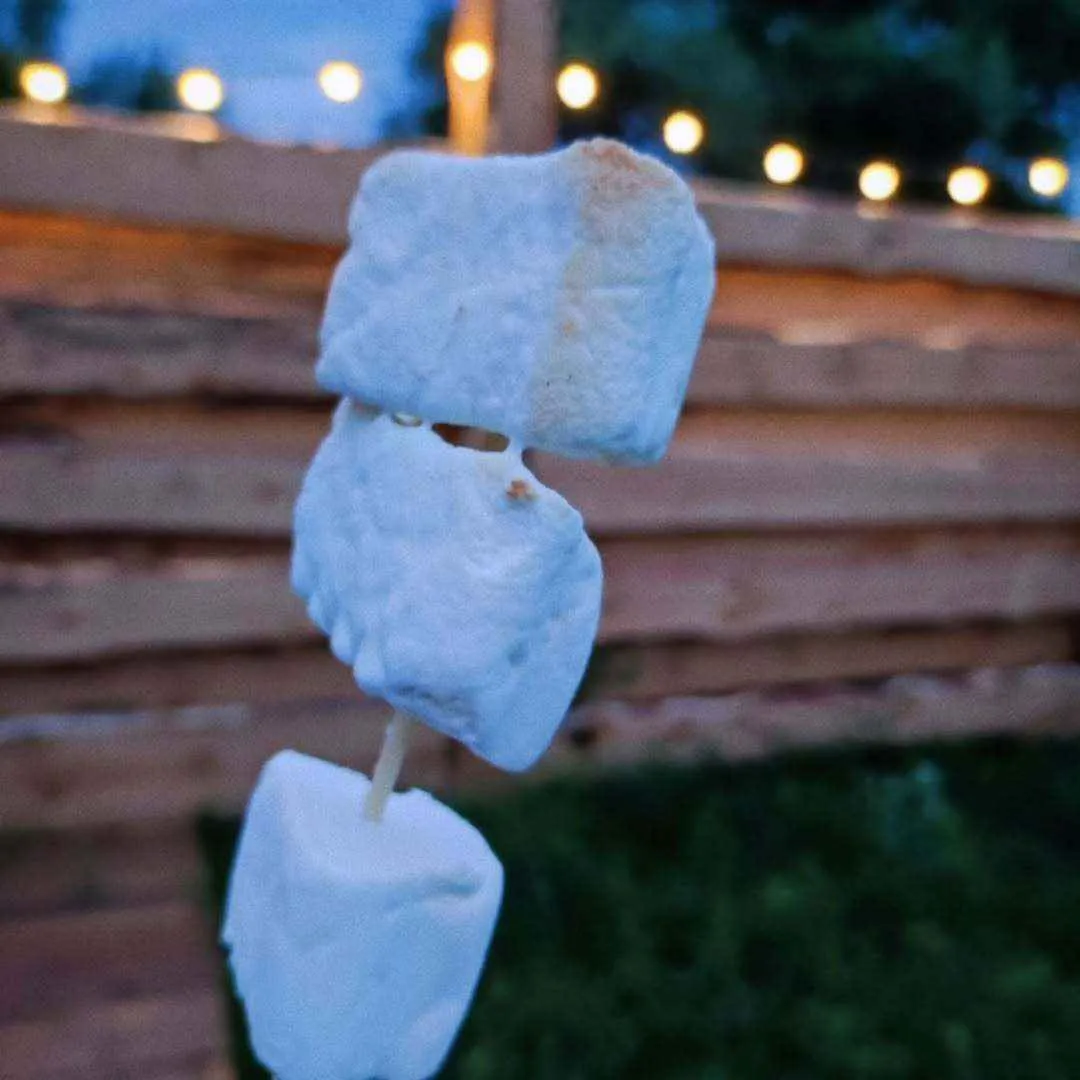 Лебединое озеро фото 2