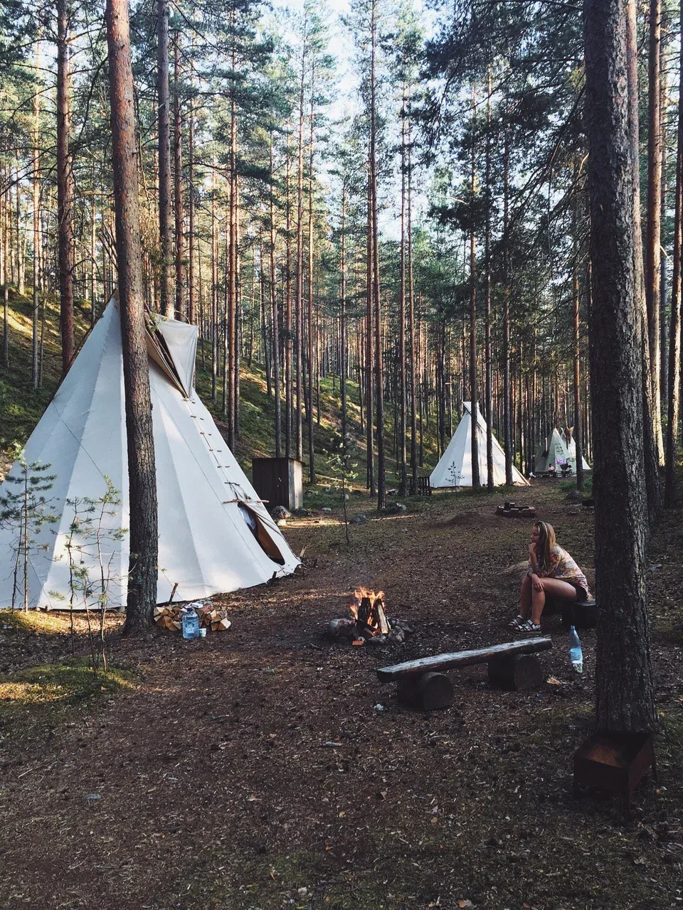 Лес Эко-отель